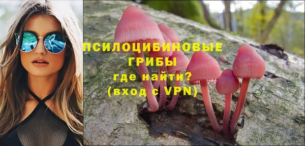 бутират Алексин