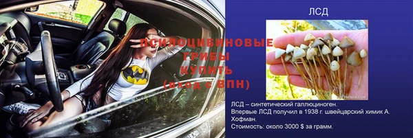 прущие крисы Абинск
